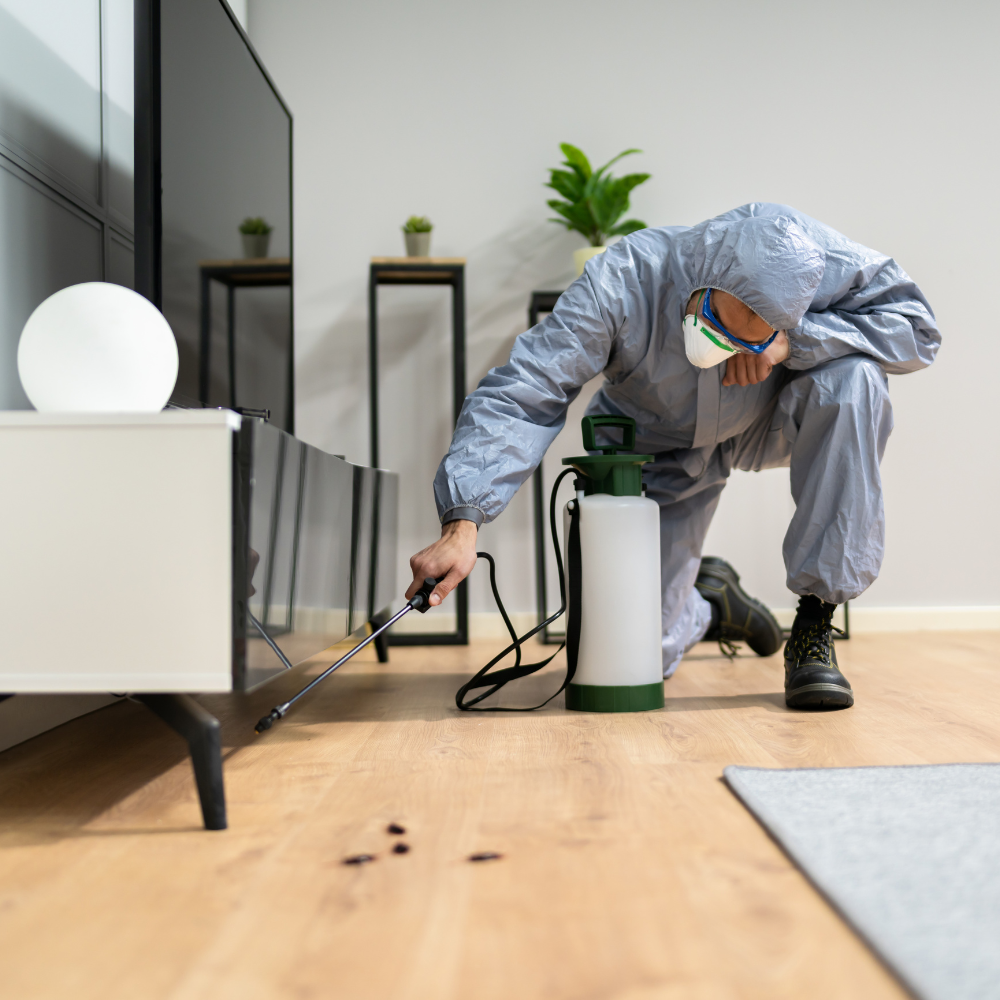 Air Curtain are Effective in Pest & Dust Control