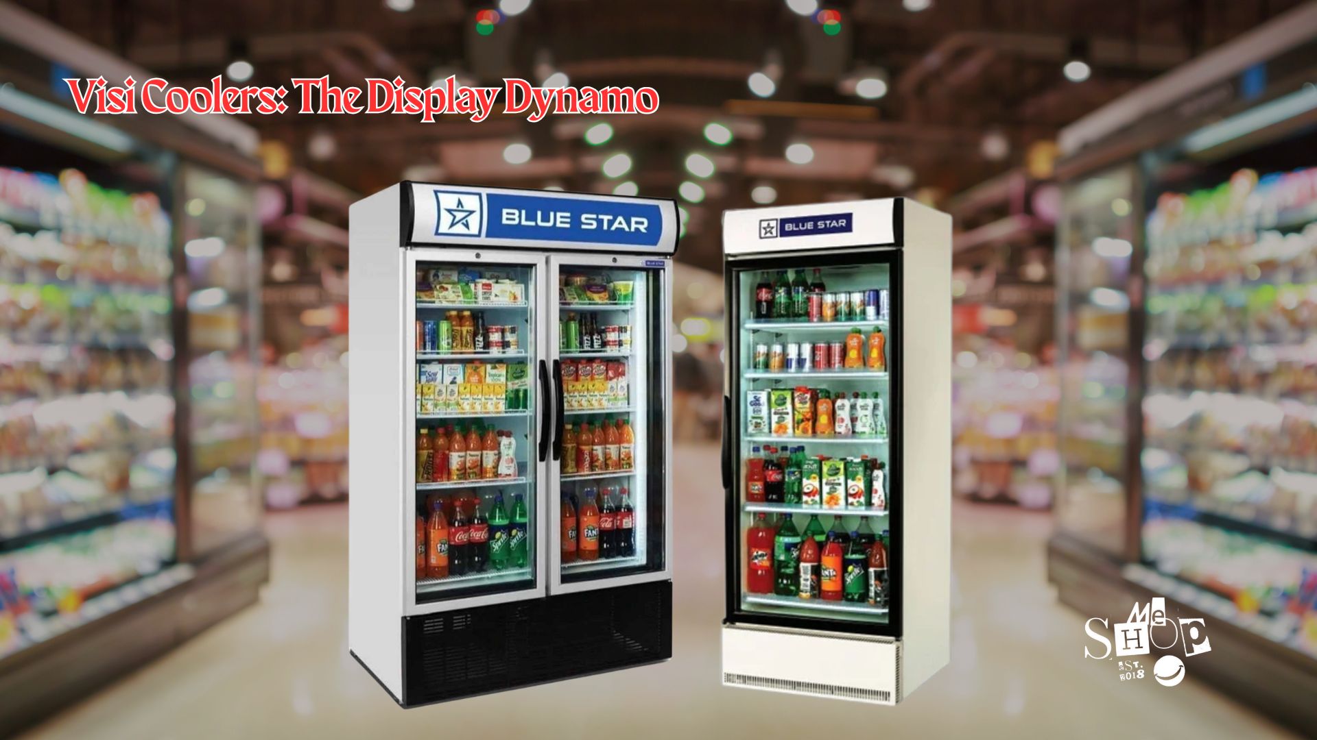 Visi Coolers: The Display Dynamo