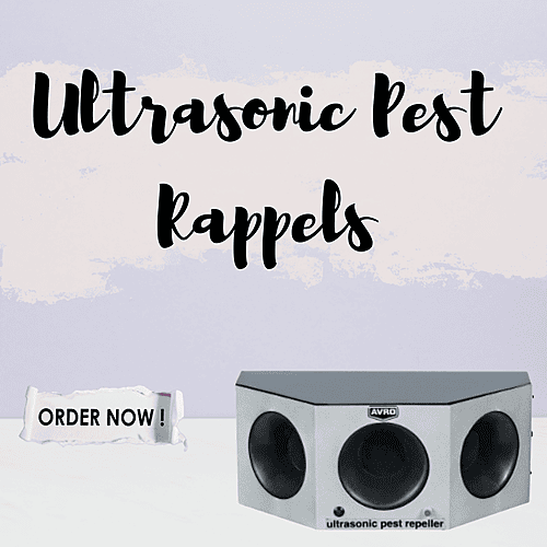 Ultrasonic Pest Rappelers Ultrasonic Pest Rappelers