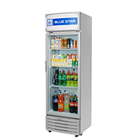 Blue Star Visi Cooler VC290D-285 liters