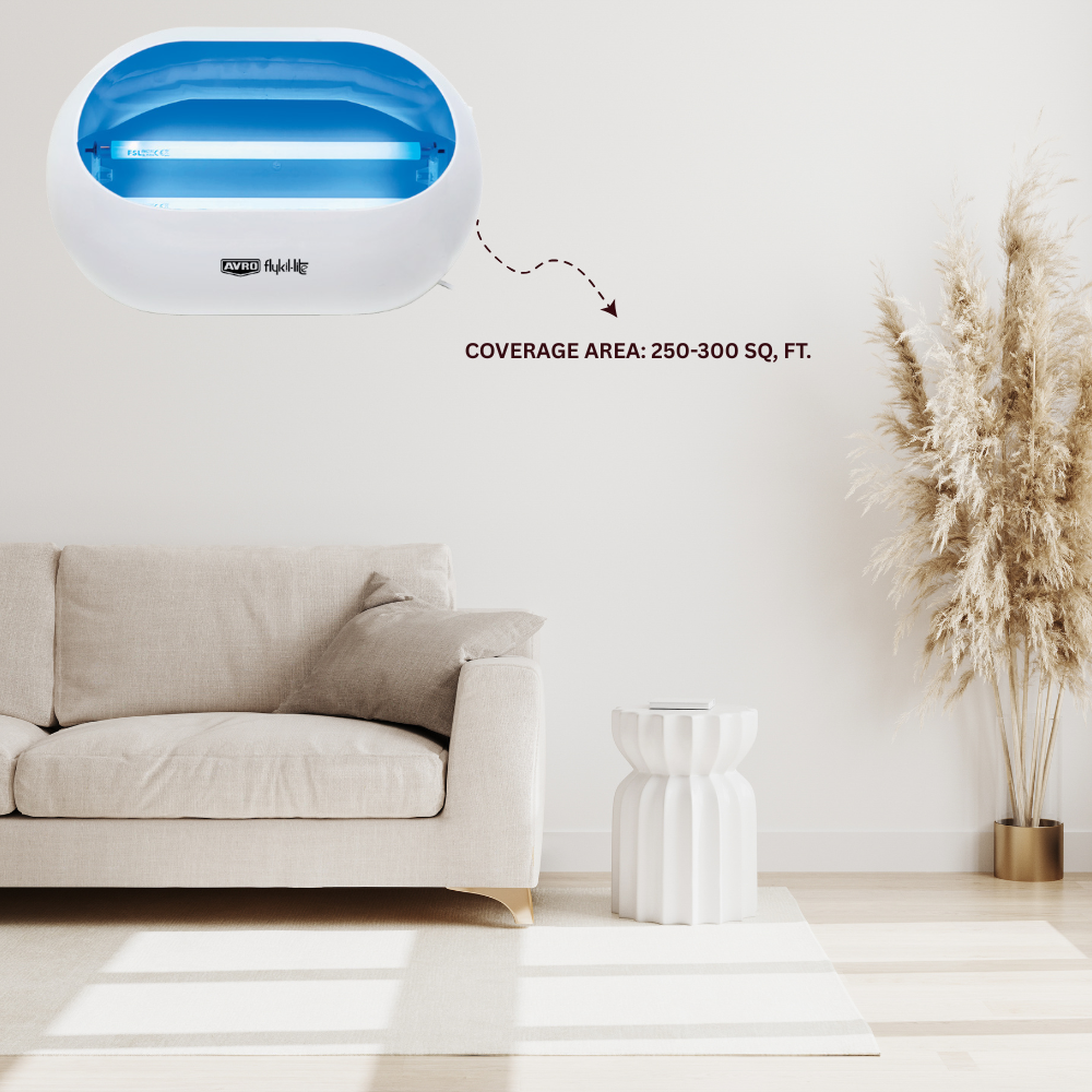 Avro glue pad insect trap for hygienic pest control. Avro glue pad insect trap for hygienic pest control.