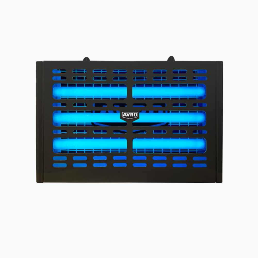Avro GP-10 Glue Pad Series Insect Killer, front view.