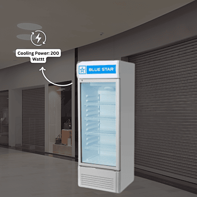 Blue Star Visi Cooler VC275D: a 250-liter display fridge. Blue Star Visi Cooler VC275D: a 250-liter display fridge.