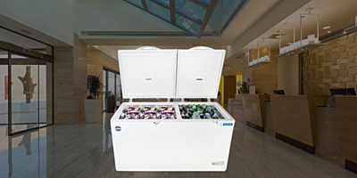 Suitable for Restaurants: Blue star Cooler and Deep Freezer 275 Litre Price-CHFK275DGS-White Suitable for Restaurants: Blue star Cooler and Deep Freezer 275 Litre Price-CHFK275DGS-White