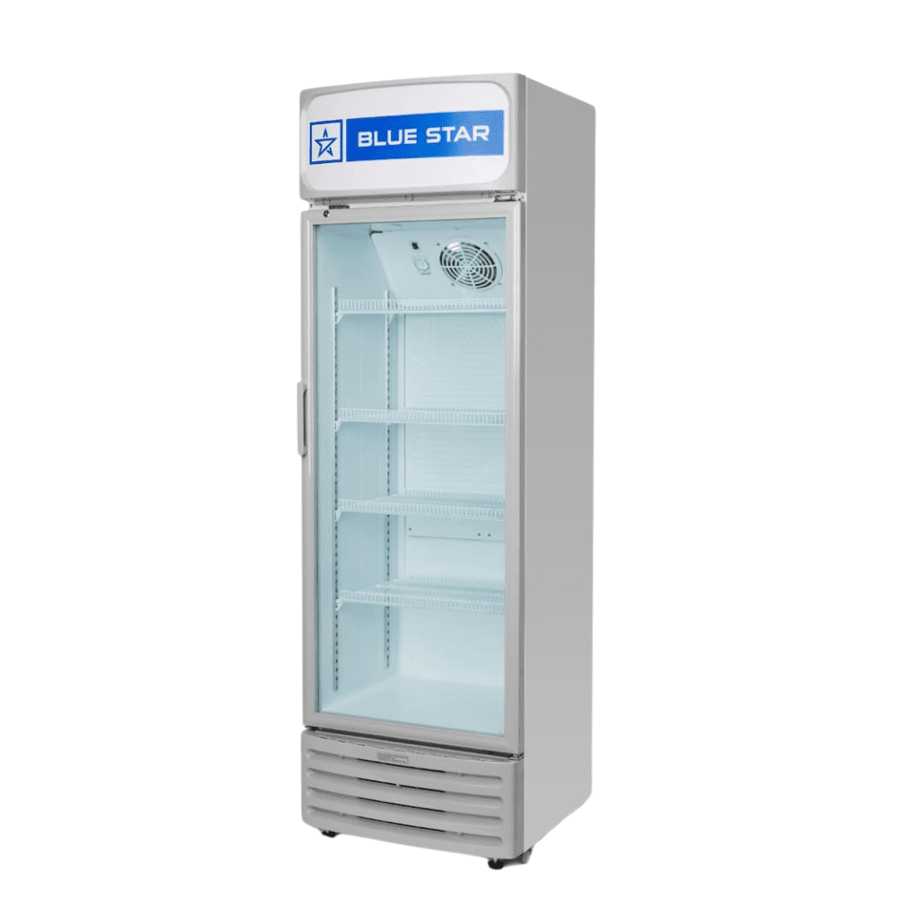 Blue Star Visi Cooler VC290A-285 liters