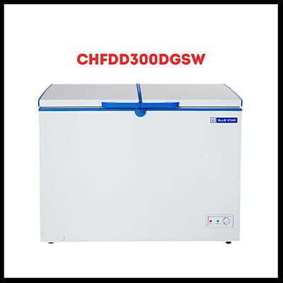 Blue star Hard Top 300 liter deep freezer CHFDD300DGSW