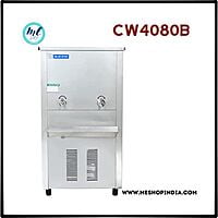 Blue Star CW 4080 water cooler with warm and cold option in Gurgaon