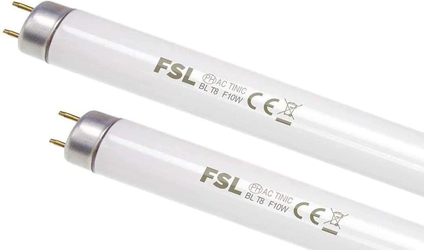 FSL BL Uva Lamp T8 For Insect Killers