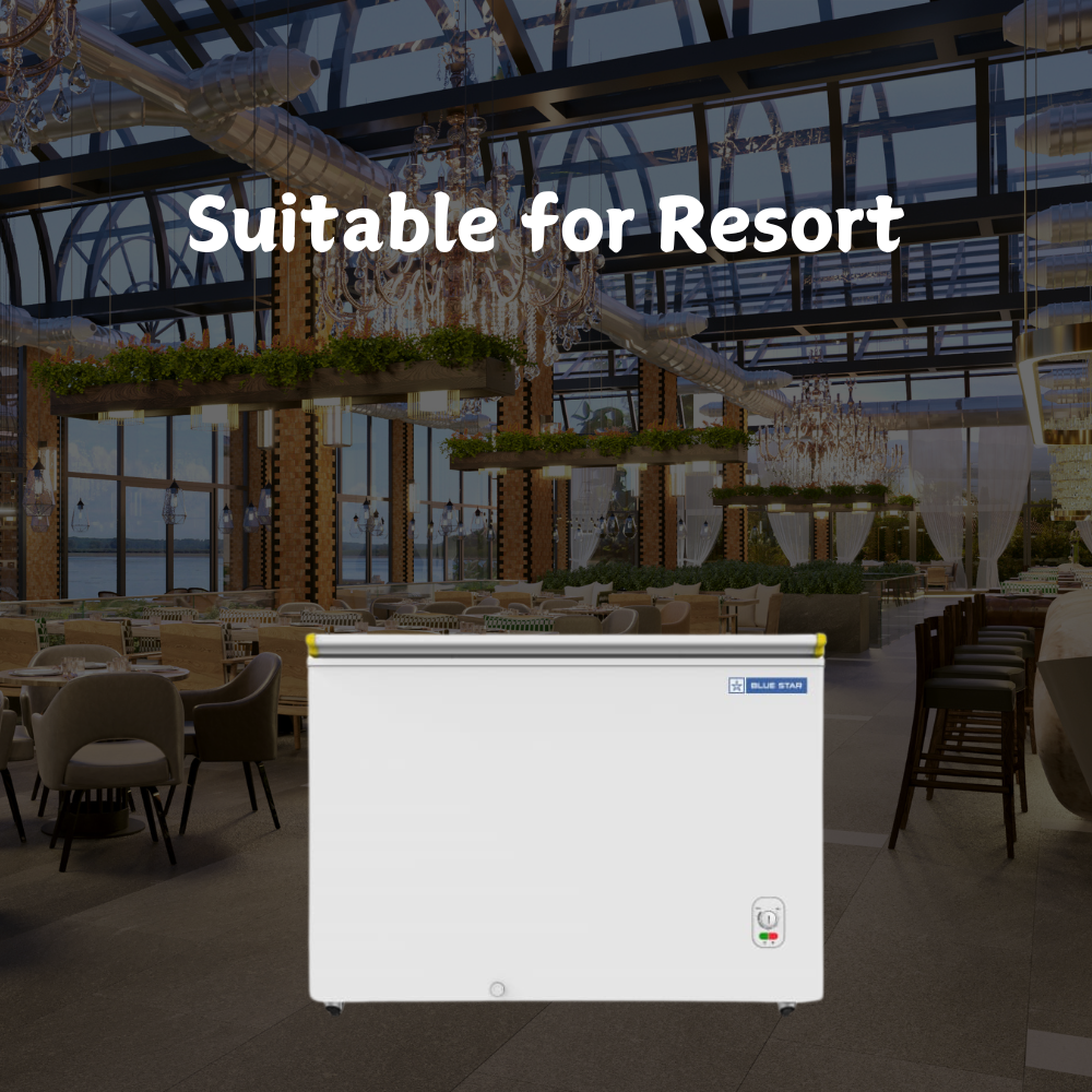 Suitable for Resort: Blue star Bottle Cooler 300 liter deep freezer-CHBK300MP Suitable for Resort: Blue star Bottle Cooler 300 liter deep freezer-CHBK300MP