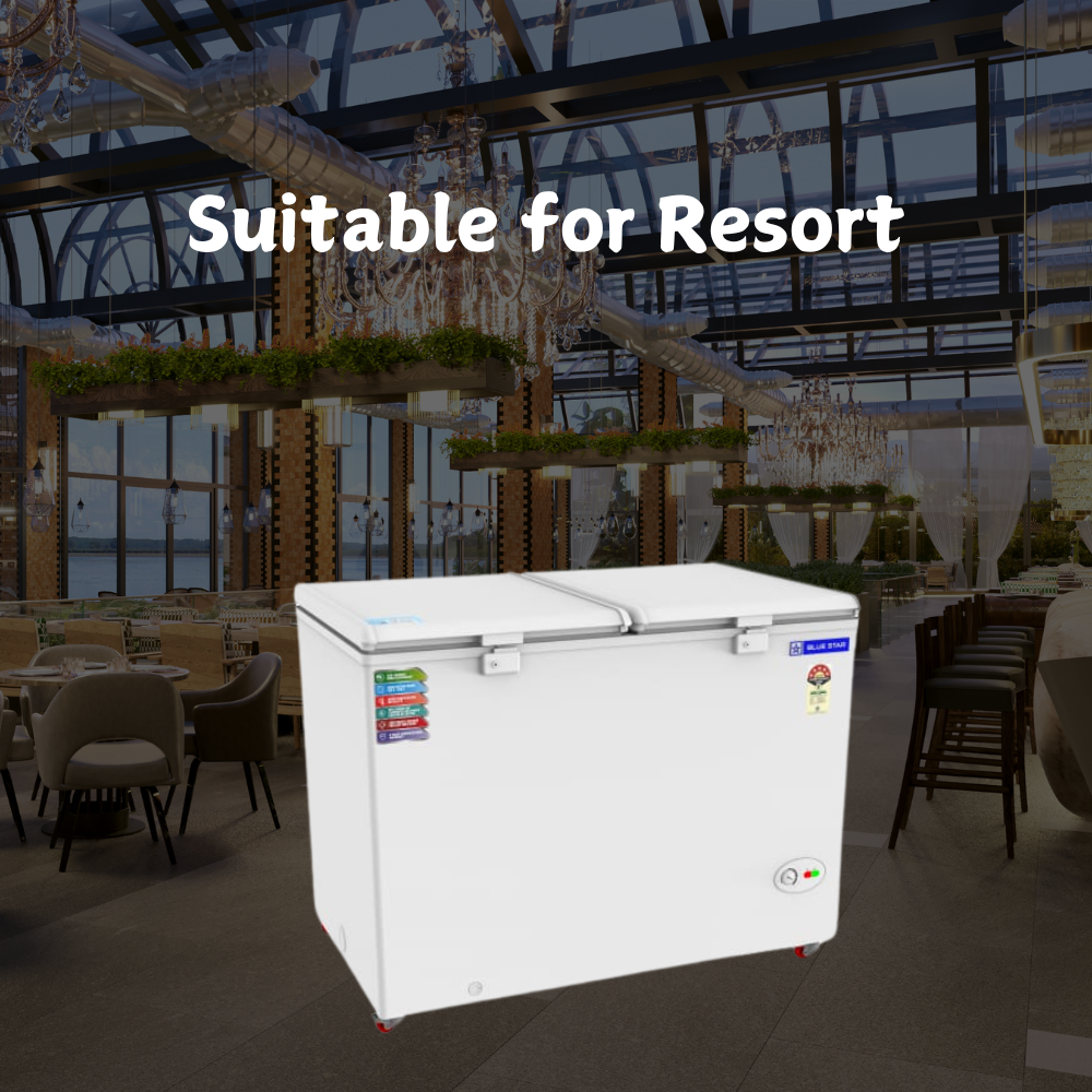 Suitable for Resort: Blue star Hard Top Chest  Freezer-CF5-396NEYW